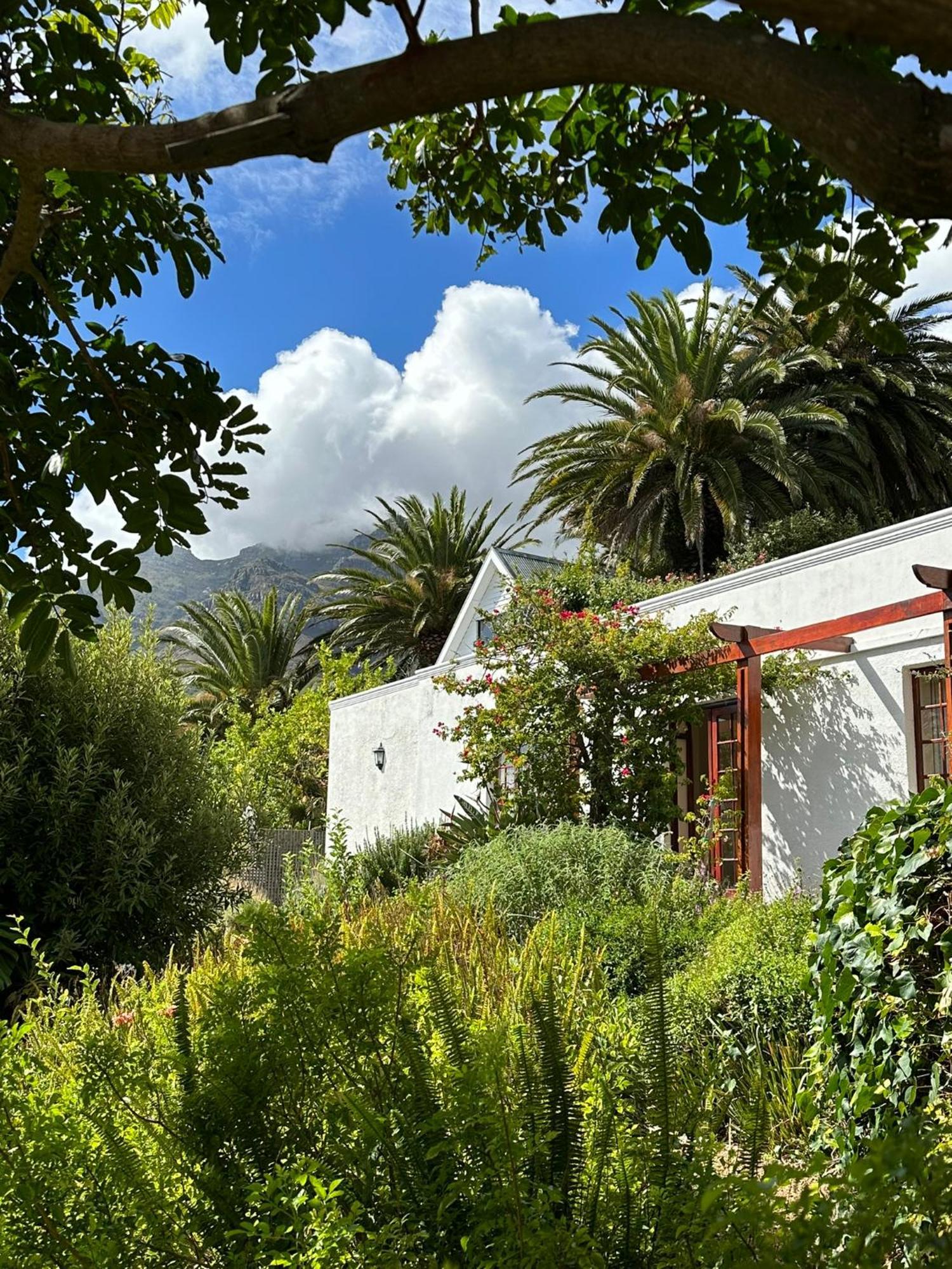 Acorn House Bed & Breakfast Cape Town Exterior photo
