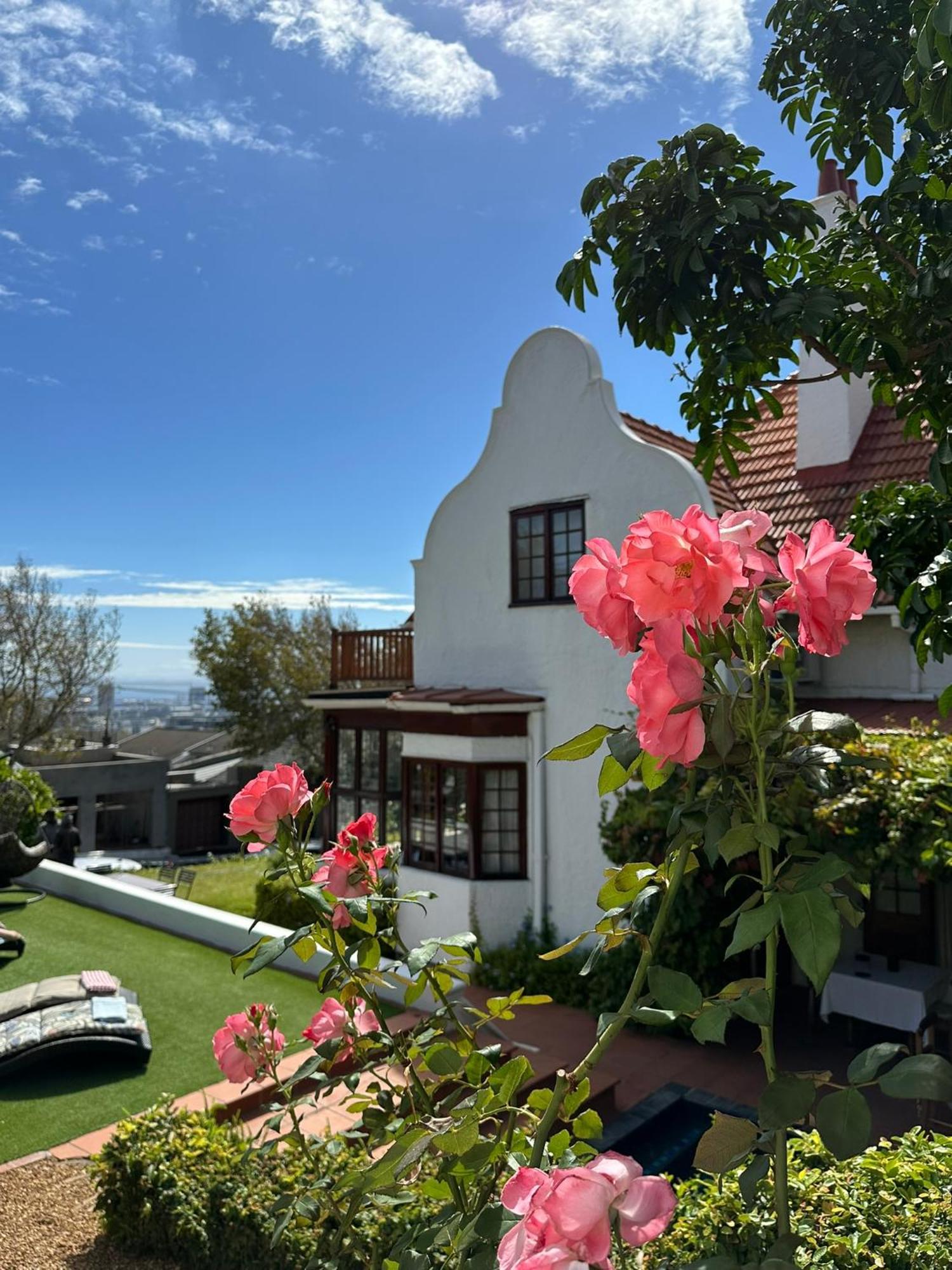 Acorn House Bed & Breakfast Cape Town Exterior photo